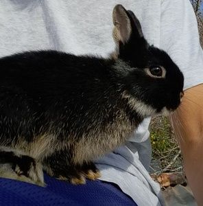 Meet your Posher, Griselle